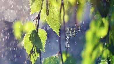 雨水节气饮食 雨水节气饮食起居的调整