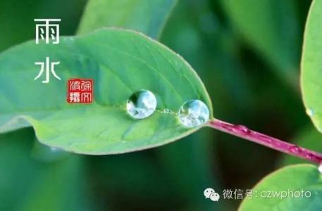 雨水节气的特点 雨水节气前后气候特点