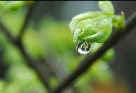 雨水节气天气的变化