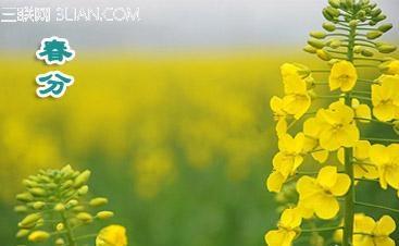 24节气 今年的春分是几月几日