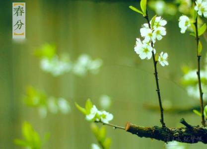 春分节气 春分节气的有趣民俗