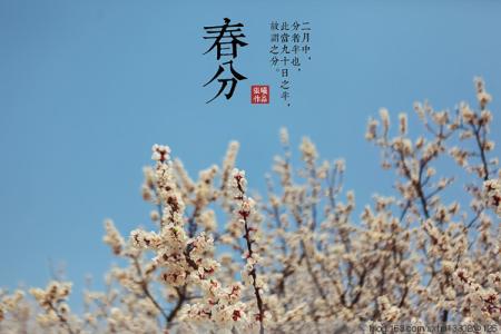 3月20日春分 3月20日是春分