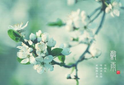 谷雨祝福语 2012谷雨祝福语精选