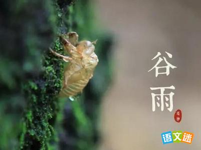 谷雨祝福图片 谷雨祝福语