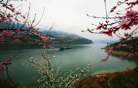 谷雨桃花水 为什么将谷雨的河水称为“桃花水”？