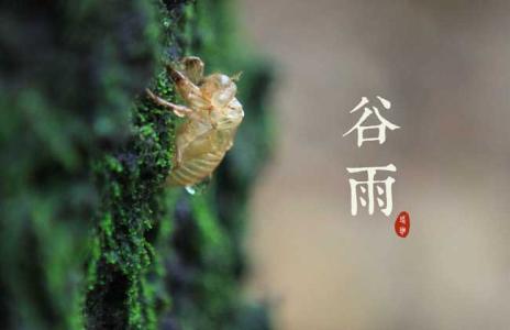 谷雨的简短传说 谷雨传说