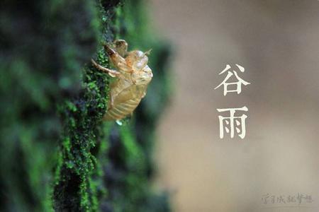 大寒是哪一天 谷雨是哪一天