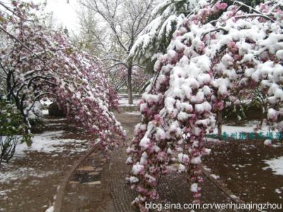 4月20日谷雨 2013年4月20日是谷雨