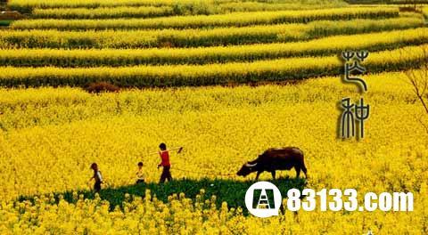 芒种节气习俗有哪些