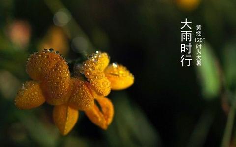 节气日期计算 大暑节气日期计算