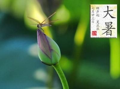 大暑节气 大暑节气基本特征