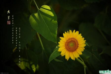 大暑节气 大暑节气饮食事宜