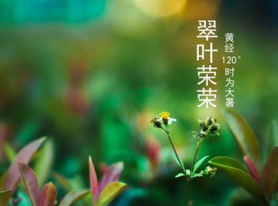 大暑节气 2016年大暑节气问候祝福语