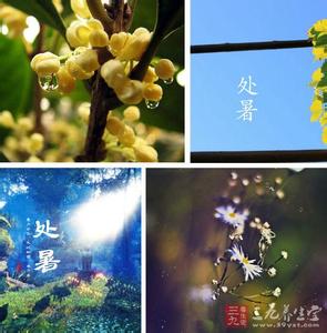 24节气清明是什么意思 处暑是什么意思？