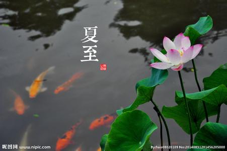 谷雨节气问候语 夏至节气问候语