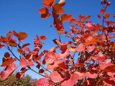 4月23日是什么节日 10月23日是什么节日――霜降