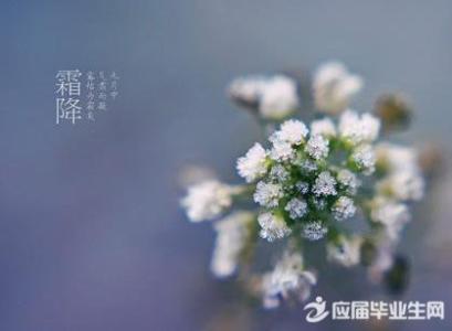 霜降节气 霜降节气概述