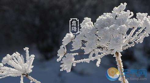 霜降节气的天气特点