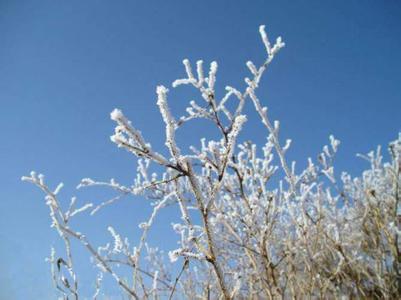 霜降节气的资料 霜降节气的由来