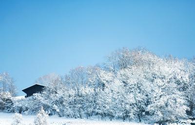 大雪节气要注意什么 大雪节气要注意哪些气候变化？