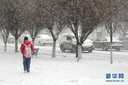 大雪天气现象