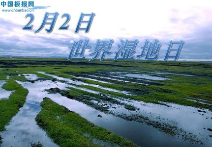 2017年世界湿地日主题 2015年世界湿地日主题是什么