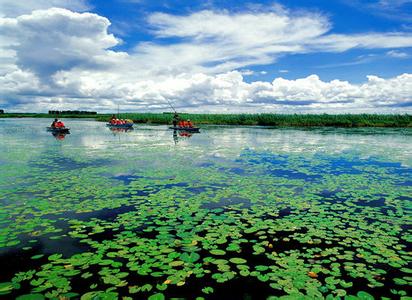 安邦河湿地公园 黑龙江安邦河湿地公园