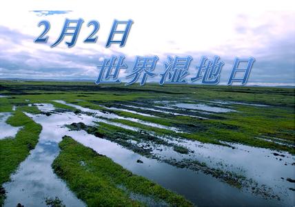 世界湿地日是 2015世界湿地日是哪一天