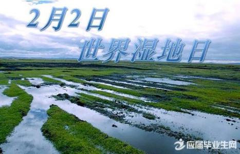 历年世界湿地日主题 2.2世界湿地日历年主题