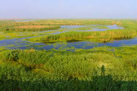 什么是湿地公园 什么是湿地