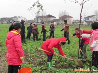 小记者植树节活动方案 2014小记者植树节采访活动方案