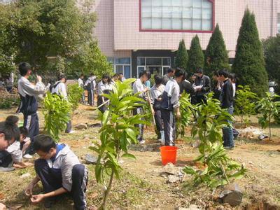 学校植树节活动策划书 学校植树节活动组织策划