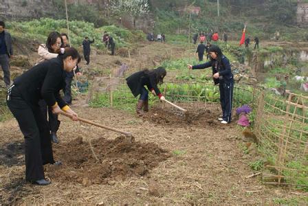 企业植树节活动方案 2014企业植树节活动方案