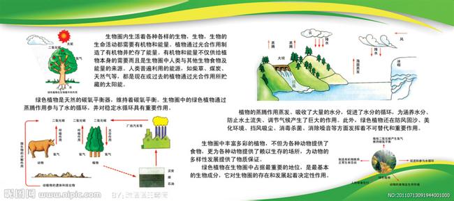 保护森林的措施 世界森林日保护因素、意义、措施