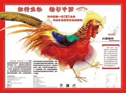 国际生物多样性日 2015年国际生物多样性日是几月几日