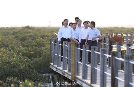 2016国际生物多样性日 2016国际生物多样性日是哪一天