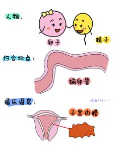 避孕套与免疫性不孕症 避孕与不孕两者之间的关系