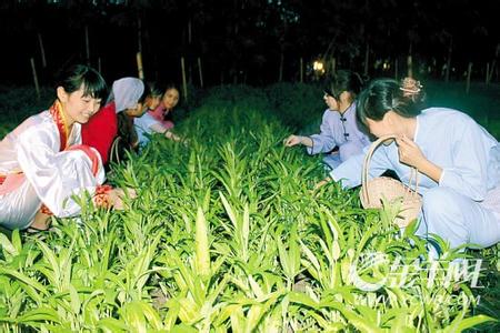 中秋节10大习俗：偷葱偷菜