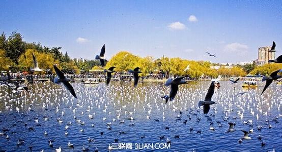 春节去哪里旅游比较好 云南2015春节去哪里旅游比较好？