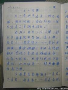 五一见闻作文600字：让我最难忘的一个晚上