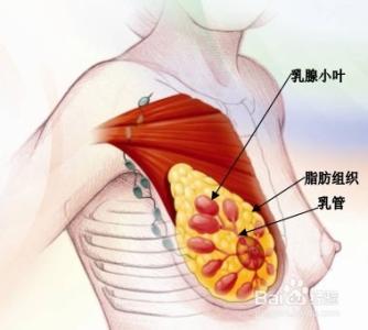 外敷治疗颈椎骨质增生 中医治疗颈椎增生的三大外敷疗法