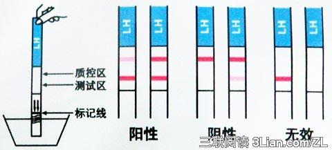 排卵试纸注意事项 排卵试纸的正确使用方法与注意事项