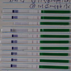 排卵试纸一直弱阳 排卵试纸一直弱阳是为什么