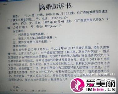 离婚起诉书范文女方 离婚起诉书范文