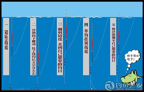 调漂找底最简单实用 钓鱼简单实用的调漂法