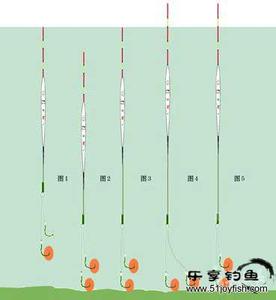 野外台钓调漂 野外台钓的调漂方法