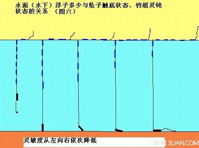 传统钓鱼调漂方法 传统钓的调漂方法 介绍