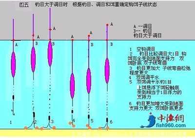 钓浮和钓底调漂技巧 野钓用漂原则和调漂技巧