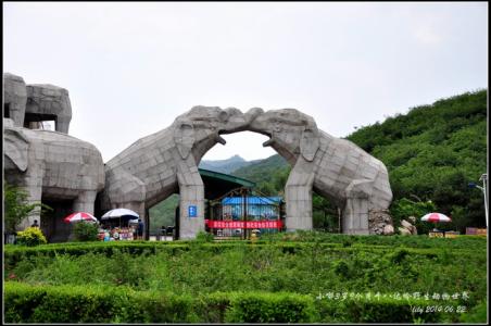 八达岭野生动物园 八达岭野生动物世界的景点介绍及怎么去