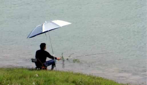 野钓视频 手杆钓鱼 野钓手杆的垂钓技巧